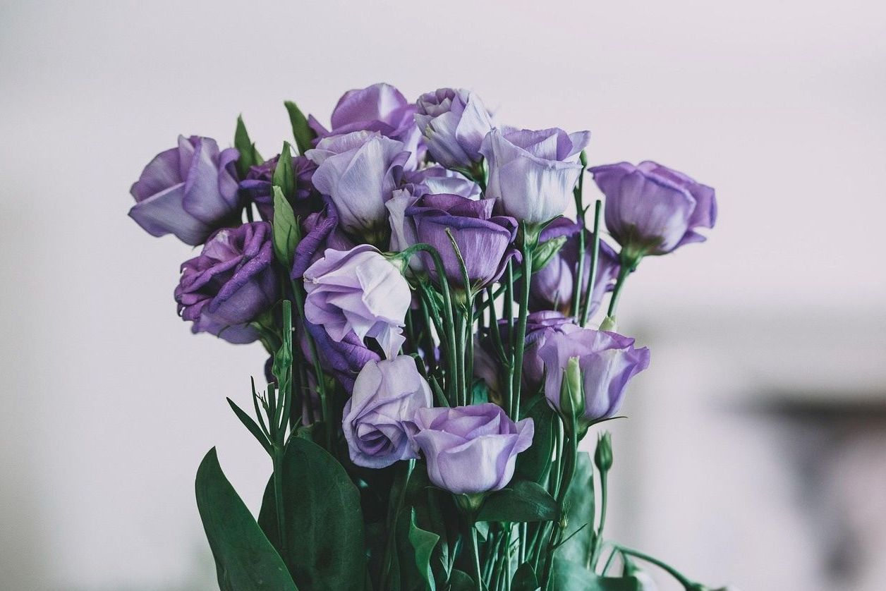 Bos met zonnebloemen en korenbloemen